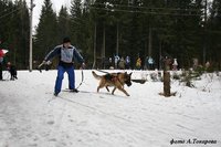 Соревнования по скитджорингу.jpg