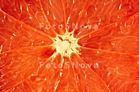 Grapefruit_orange_background_f