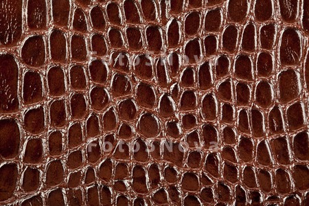 texture_skin_crocodile_pattern