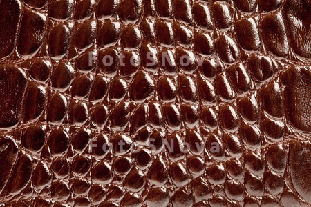 texture_skin_crocodile_pattern