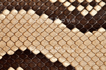 texture_skin_snake_pattern_mac