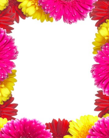 flowers_frames_backgrounds_spr