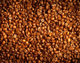 backgrounds_coffee_bean_patter