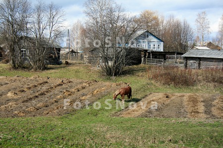 Дома,_село,_избы,_