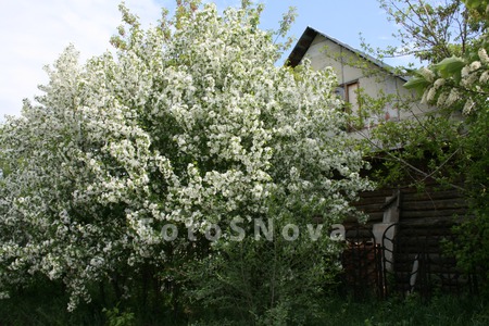 Омск,_весна,_горо