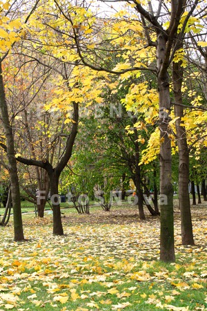 москва,_город,_го