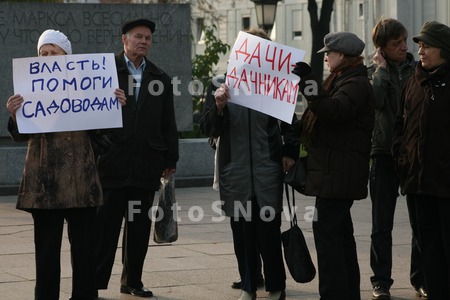 пикет,_пртест,_да