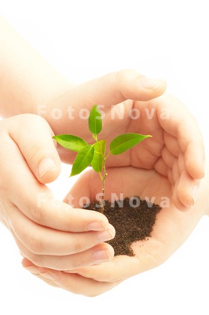 plants_hands_growth_concepts_n