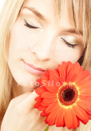 women_beauty_gerbera_female_fl