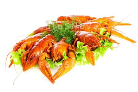 crawfish_crayfish_red_gourmet_