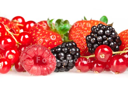 background_berry_black_blackbe