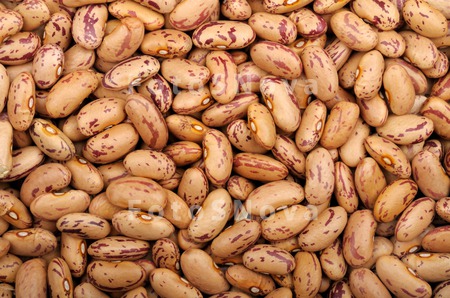 bean_legumes_dry_background_ve