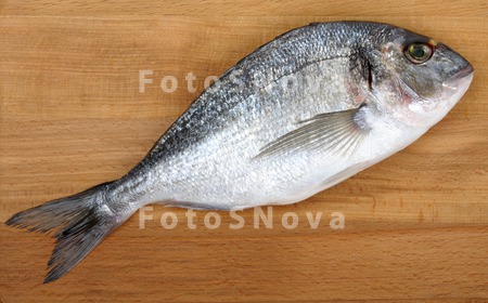 dorado_food_raw_fin_head_healt