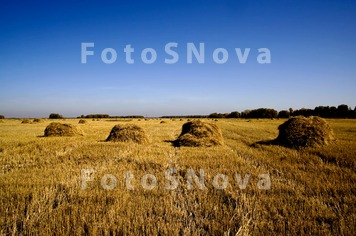 Сибирь,осень,пол