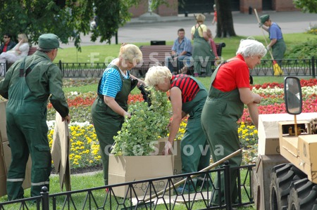 город,_рабочие,_р