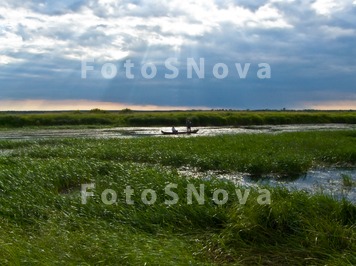 река_лето_дождь_