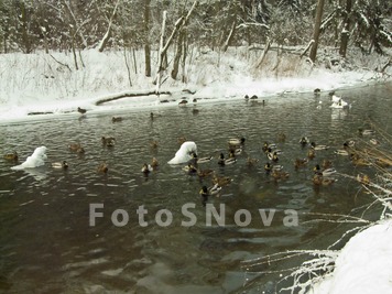 зима_река_десна_