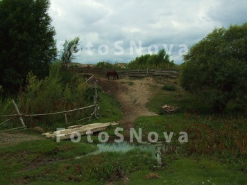 Село,_деревня