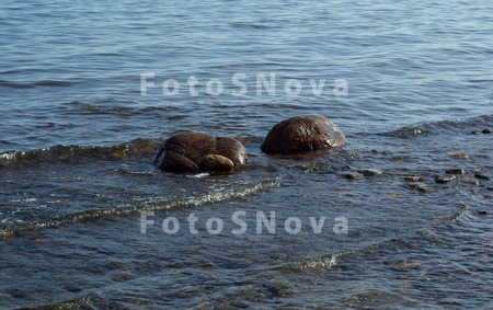 байкал,_байкальс