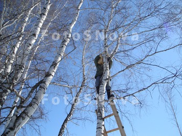 весна,_апрель,_пт