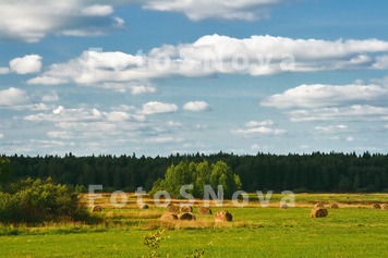 поле,_сено_лето