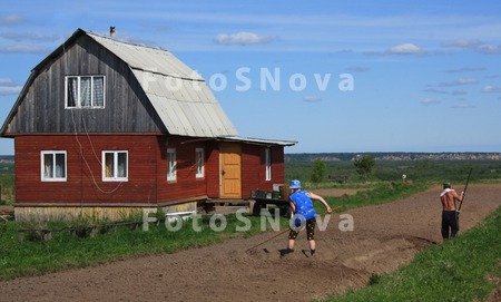 картофель_дача_у