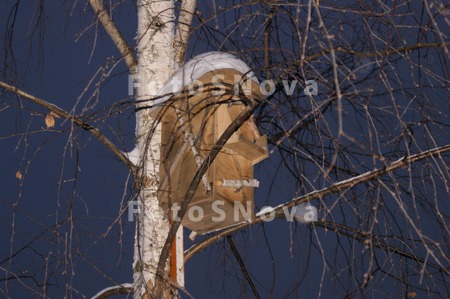 скворечник,_корм