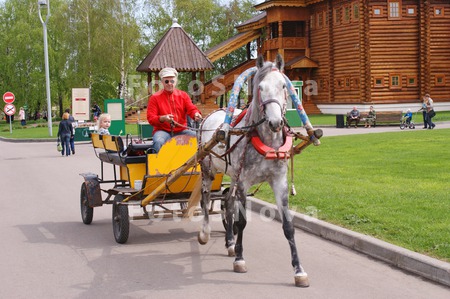 прогулка,_поездк