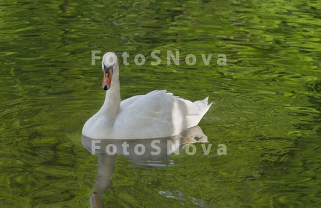 вода,_река,_озеро